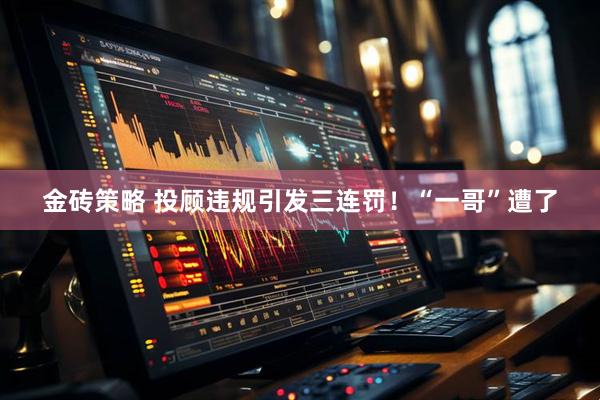 金砖策略 投顾违规引发三连罚！“一哥”遭了