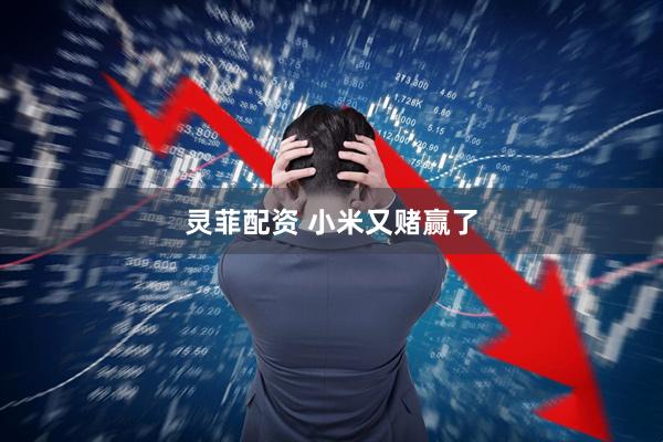 灵菲配资 小米又赌赢了