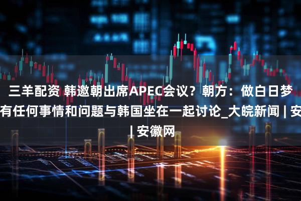三羊配资 韩邀朝出席APEC会议？朝方：做白日梦，没有任何事情和问题与韩国坐在一起讨论_大皖新闻 | 安徽网